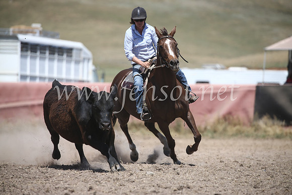 AdaminabyCampdraft2016_8502