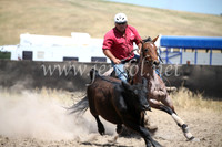 AdaminabyCampdraft2016_8431