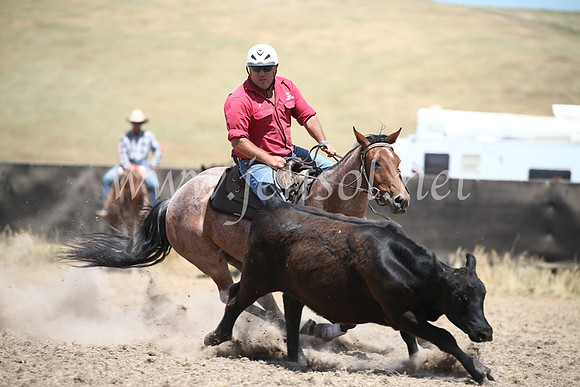 AdaminabyCampdraft2016_8417
