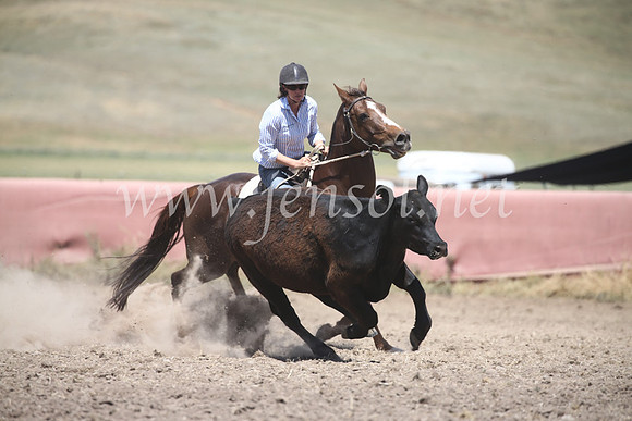 AdaminabyCampdraft2016_8507