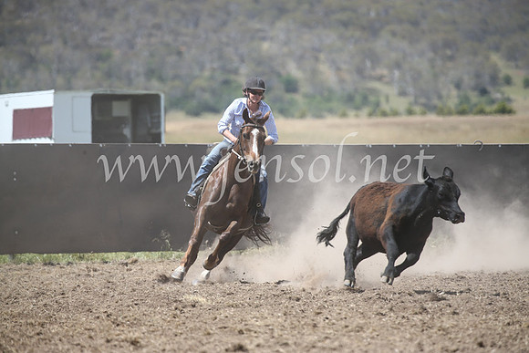AdaminabyCampdraft2016_8496