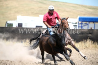 AdaminabyCampdraft2016_8425