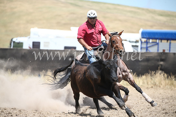 AdaminabyCampdraft2016_8425