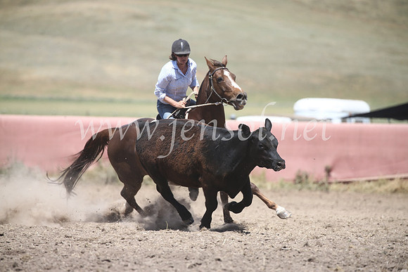 AdaminabyCampdraft2016_8504