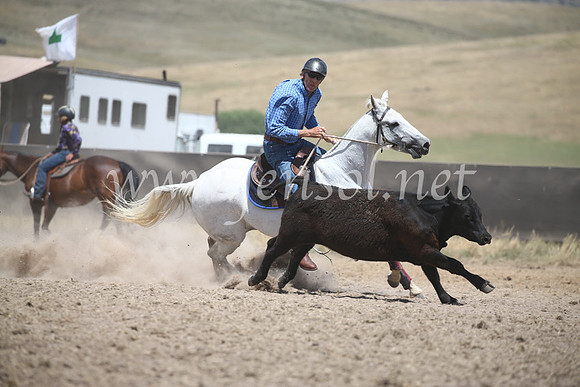 AdaminabyCampdraft2016_8464
