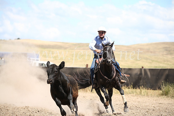 AdaminabyCampdraft2016_8541