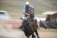 AdaminabyCampdraft2016_8447