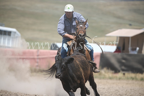 AdaminabyCampdraft2016_8447