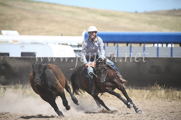 AdaminabyCampdraft2016_8564