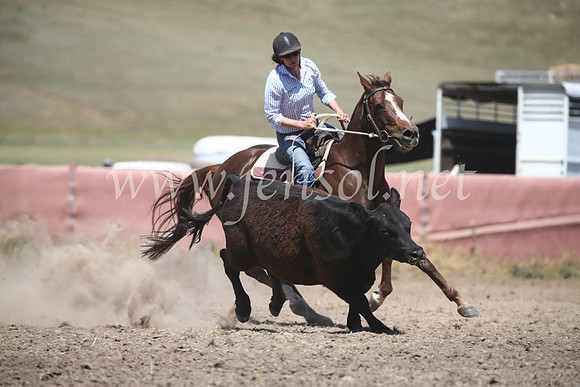 AdaminabyCampdraft2016_8510