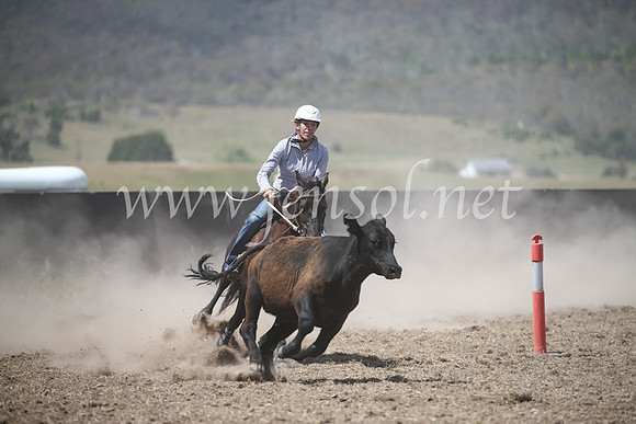 AdaminabyCampdraft2016_8562