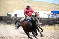 AdaminabyCampdraft2016_8427