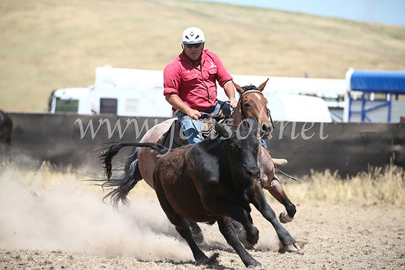 AdaminabyCampdraft2016_8427