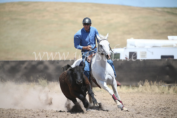 AdaminabyCampdraft2016_8461