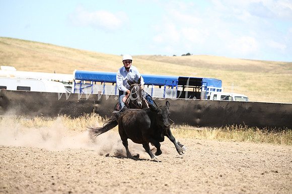 AdaminabyCampdraft2016_8536