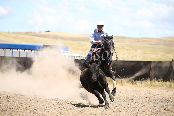 AdaminabyCampdraft2016_8543
