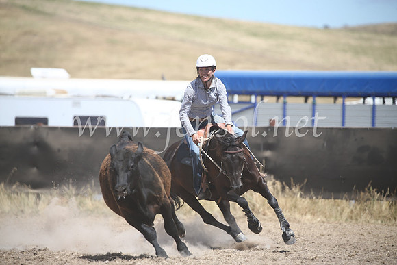 AdaminabyCampdraft2016_8565