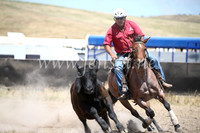 AdaminabyCampdraft2016_8424