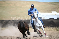 AdaminabyCampdraft2016_8459