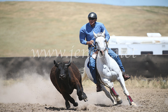 AdaminabyCampdraft2016_8459