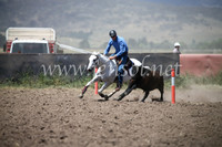 AdaminabyCampdraft2016_8483