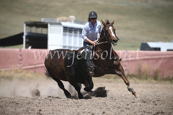 AdaminabyCampdraft2016_8499
