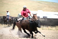 AdaminabyCampdraft2016_8416
