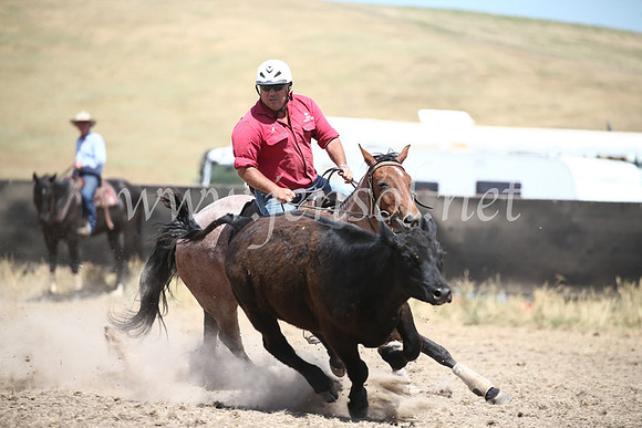 AdaminabyCampdraft2016_8416