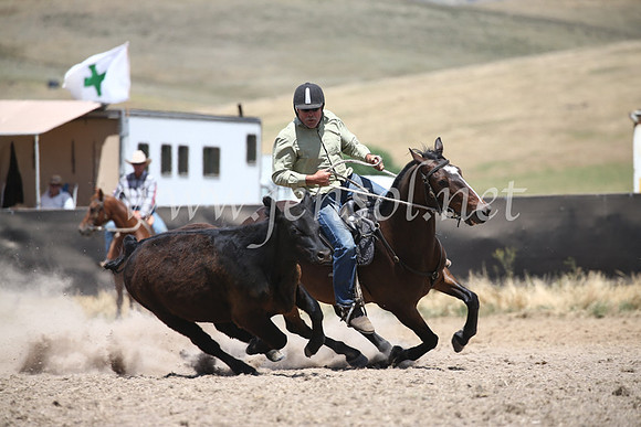 AdaminabyCampdraft2016_8405