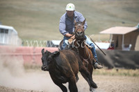 AdaminabyCampdraft2016_8446