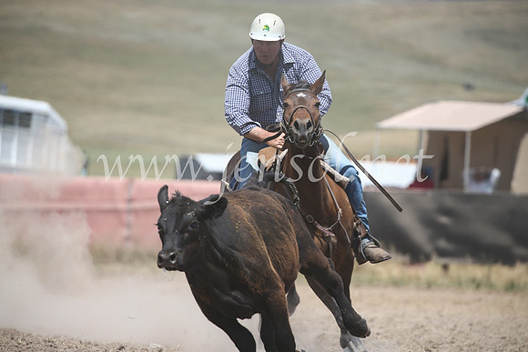 AdaminabyCampdraft2016_8446