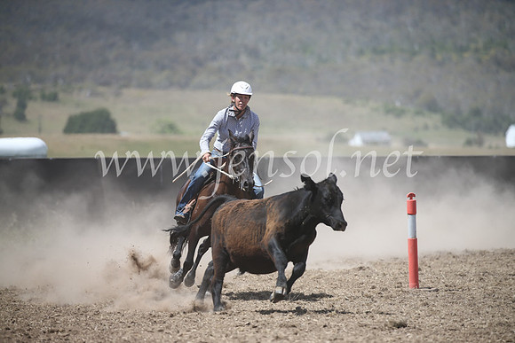 AdaminabyCampdraft2016_8561