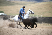 AdaminabyCampdraft2016_8465