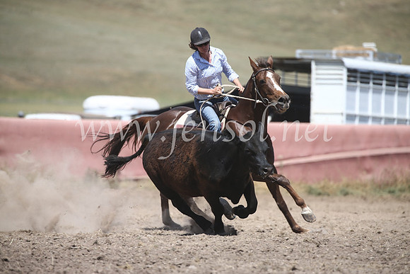 AdaminabyCampdraft2016_8508