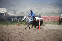 AdaminabyCampdraft2016_8482