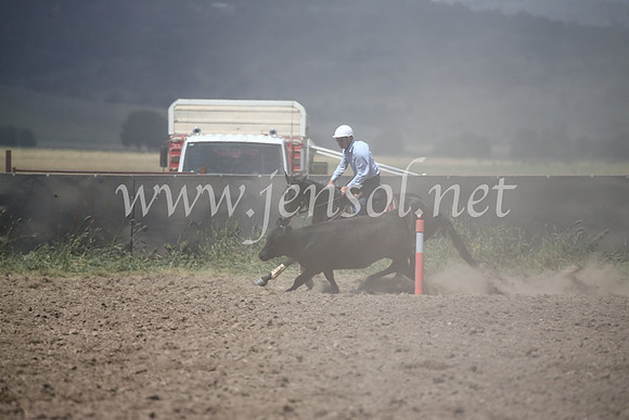 AdaminabyCampdraft2016_8550