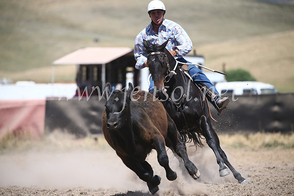 AdaminabyCampdraft2016_8586