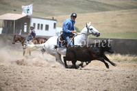 AdaminabyCampdraft2016_8452