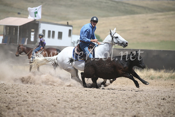 AdaminabyCampdraft2016_8452