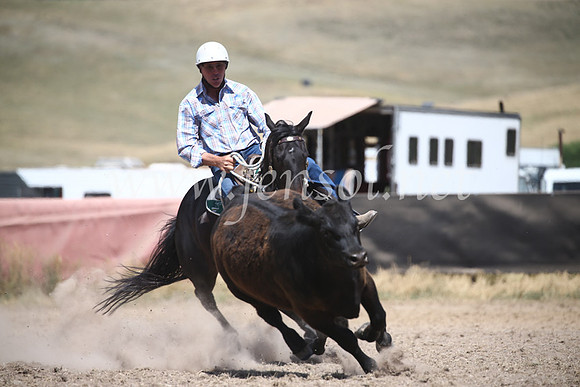 AdaminabyCampdraft2016_8579