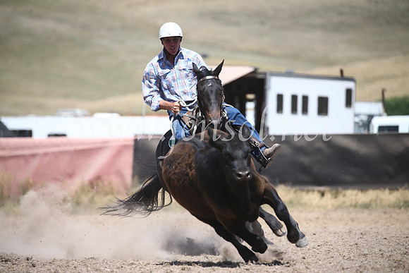 AdaminabyCampdraft2016_8581