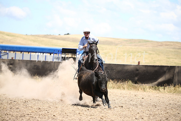 AdaminabyCampdraft2016_8530