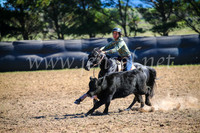 GoulburnCampdraft2017_3847