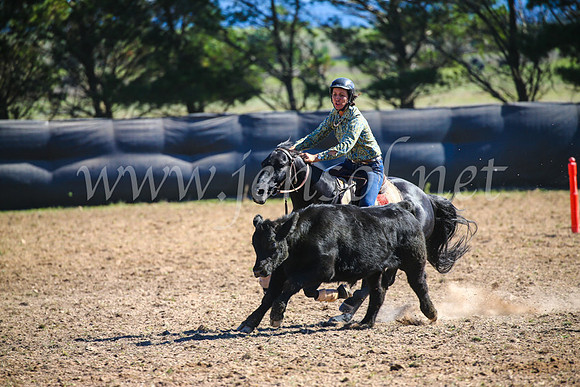 GoulburnCampdraft2017_3850