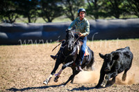 GoulburnCampdraft2017_3859