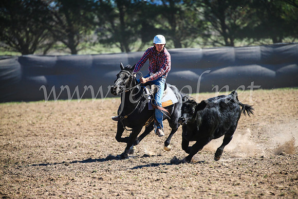 GoulburnCampdraft2017_3906