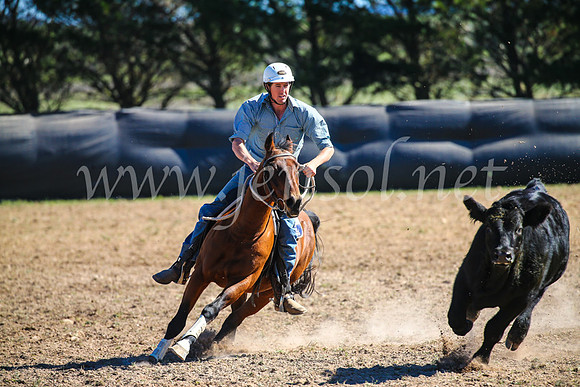GoulburnCampdraft2017_3819