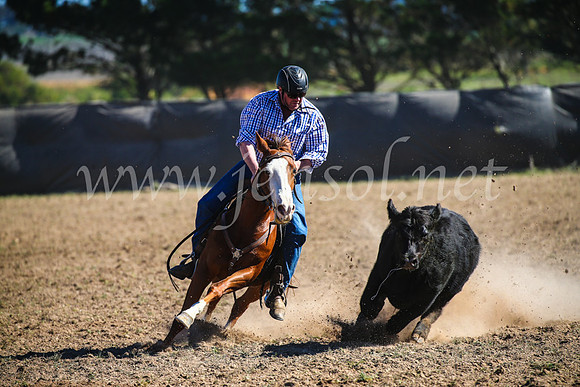 GoulburnCampdraft2017_3949