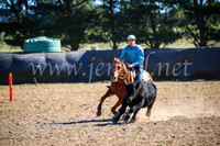 GoulburnCampdraft2017_3835