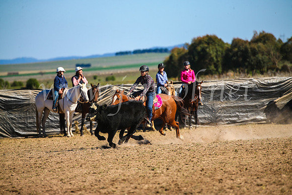 GoulburnCampdraft2017_3929